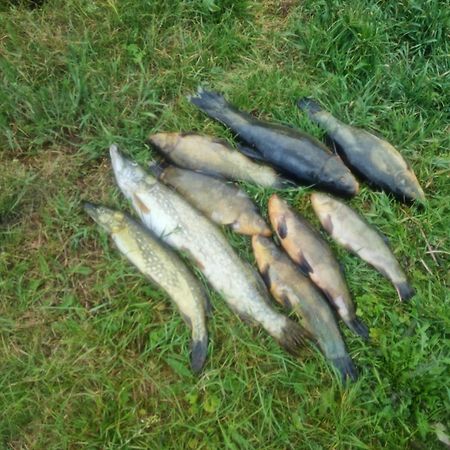فيلا Eko-Fish مياستكو المظهر الخارجي الصورة