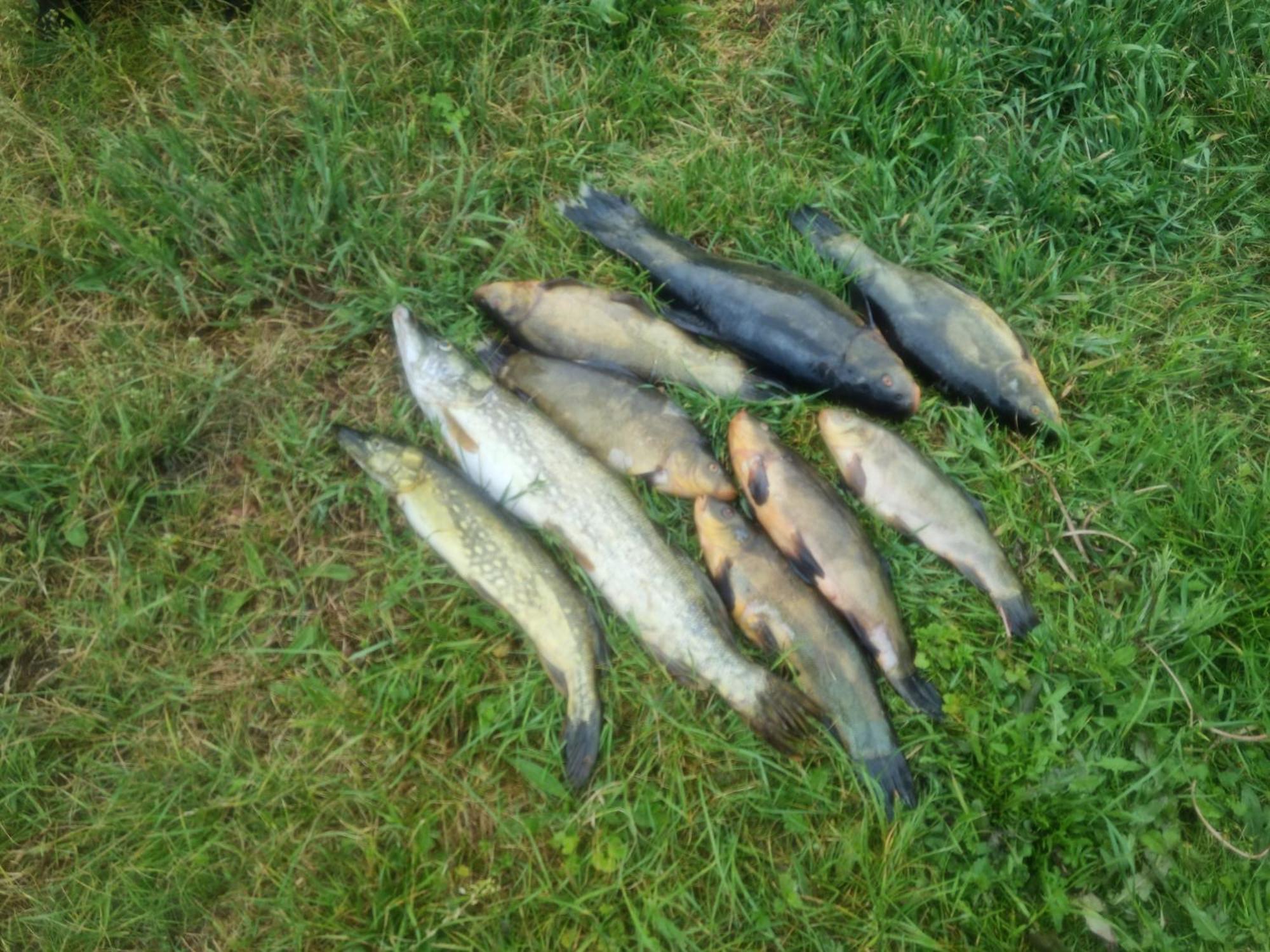 فيلا Eko-Fish مياستكو المظهر الخارجي الصورة